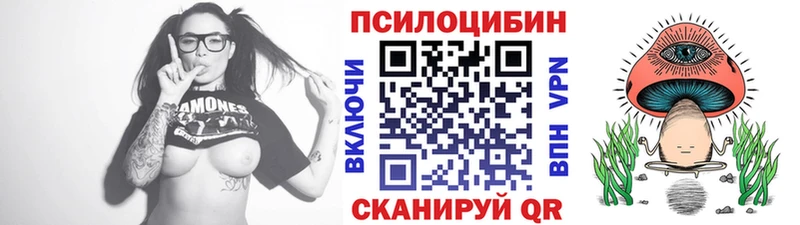 Купить Волчанск Псилоцибиновые грибы Cubensis